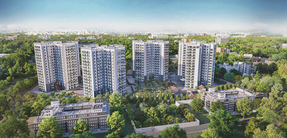 Prestige Pine Forest